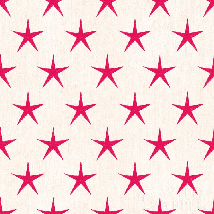 Picture of STARS AND STRIPES DARK PATTERN IXB