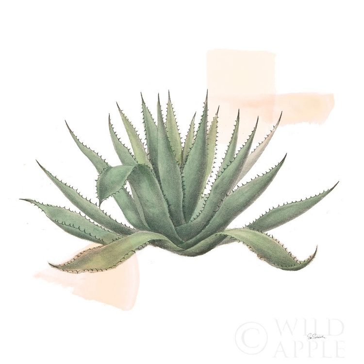 Picture of DESERT COLOR SUCCULENT I