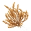 Picture of PACIFIC SEA MOSSES VII WHITE SQ