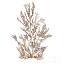Picture of PACIFIC SEA MOSSES XVI WHITE SQ