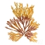 Picture of PACIFIC SEA MOSSES XIX WHITE SQ