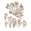 Picture of PACIFIC SEA MOSSES XXI WHITE SQ