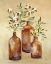 Picture of COTTON STILL LIFE III