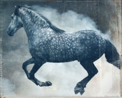 Picture of HORSE EXPOSURES III