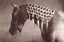 Picture of WEAVE