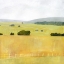 Picture of SOFT FIELDSCAPE I
