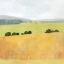 Picture of SOFT FIELDSCAPE II