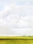 Picture of FIELD WALK II