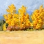 Picture of GOLDEN ASPEN TREES I