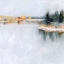 Picture of WINTER HORIZON II