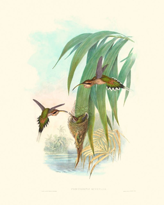 Picture of HUMMINGBIRD DELIGHT III
