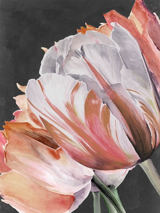 Picture of PASTEL PARROT TULIPS III