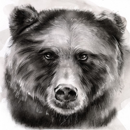 Picture of BEAR GRIN I