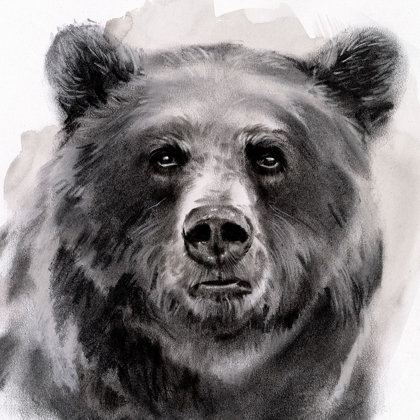 Picture of BEAR GRIN II