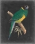 Picture of DRAMATIC PARROTS I