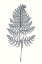 Picture of INDIGO BOTANY STUDY VIII