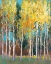 Picture of ASPEN GROVE II