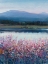 Picture of LAKESIDE MOUNTAIN I