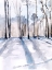 Picture of WINTER LIGHT II