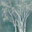 Picture of ETHEREAL BIRCHES I