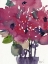 Picture of FLORAL BETWEEN II