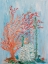Picture of PAINTERLY CORAL I