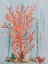 Picture of PAINTERLY CORAL II