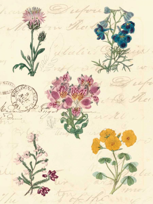 Picture of BOTANICAL JOURNAL I