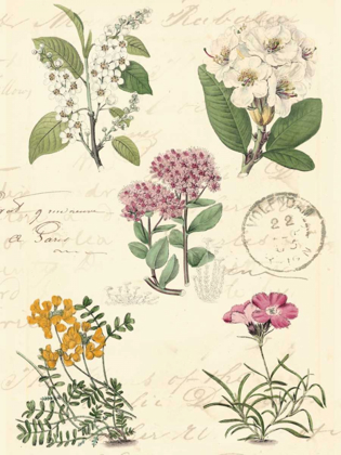 Picture of BOTANICAL JOURNAL II