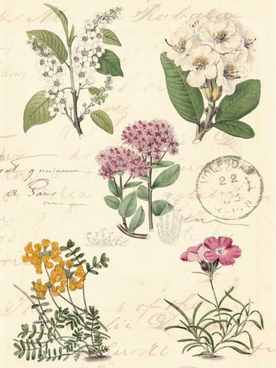 Picture of BOTANICAL JOURNAL II