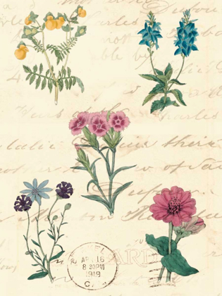 Picture of BOTANICAL JOURNAL III