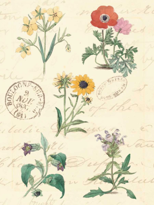 Picture of BOTANICAL JOURNAL IV