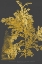 Picture of TREES AND LEAVES I