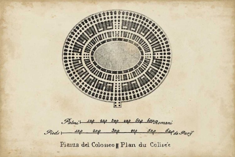 Picture of PLAN FOR THE COLOSSEUM