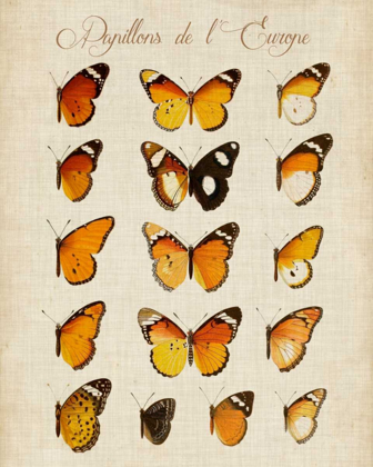 Picture of PAPILLONS DE LEUROPE II