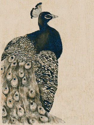 Picture of TEXTURED PEACOCK I