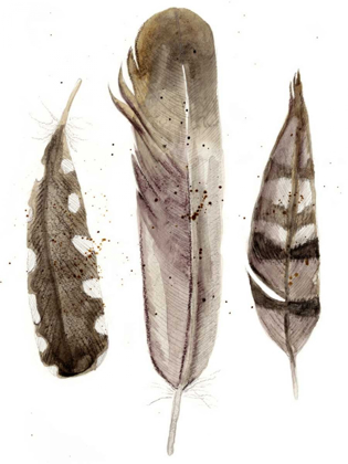 Picture of EARTHTONE FEATHERS II