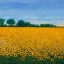 Picture of FIELD OF SUNFLOWERS I
