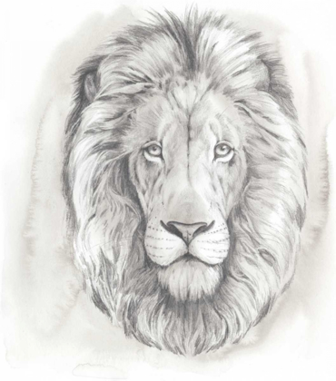 Picture of BIG CAT STUDY III