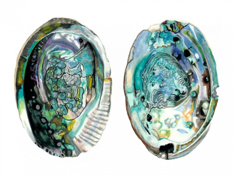 Picture of ABALONE SHELLS I