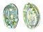 Picture of ABALONE SHELLS II