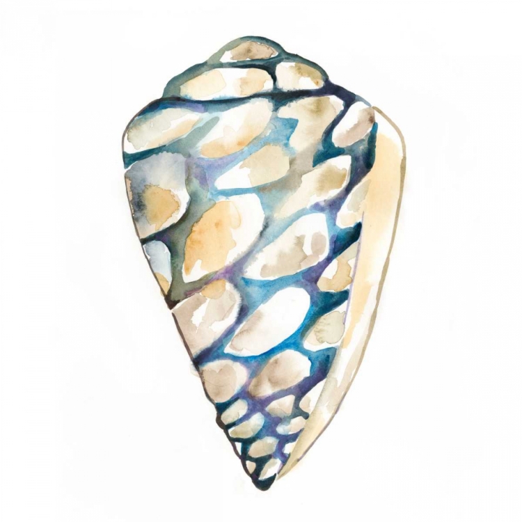 Picture of AQUARELLE SHELLS III