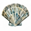 Picture of AQUARELLE SHELLS IV