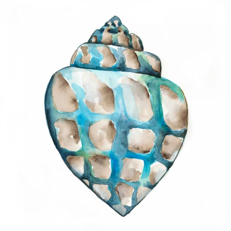 Picture of AQUARELLE SHELLS V