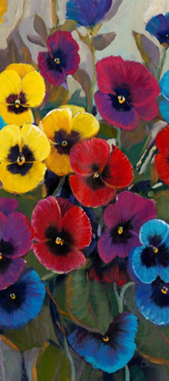 Picture of PANSY PANEL II