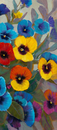 Picture of PANSY PANEL III