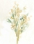 Picture of SAGEBRUSH BOUQUET II