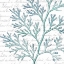 Picture of AQUA MARINE IX