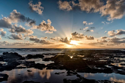 Picture of WAIPOULI SUNRISE