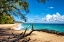 Picture of LUMAHAI BEACH